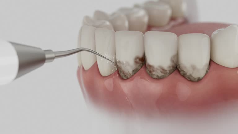 Reliable Dental contractor in Centreville, MI by Dentist Open Now